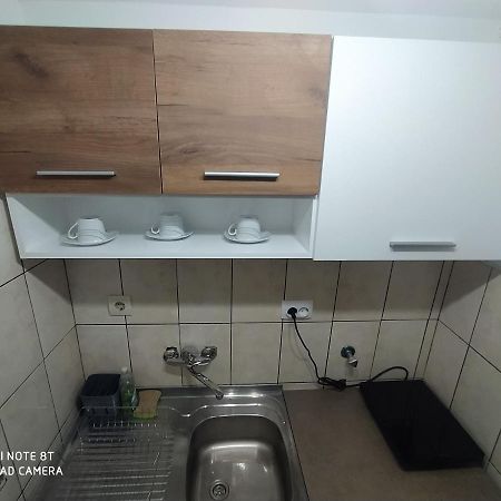 Apartman Studio Pavle I Petra Karlofça Dış mekan fotoğraf