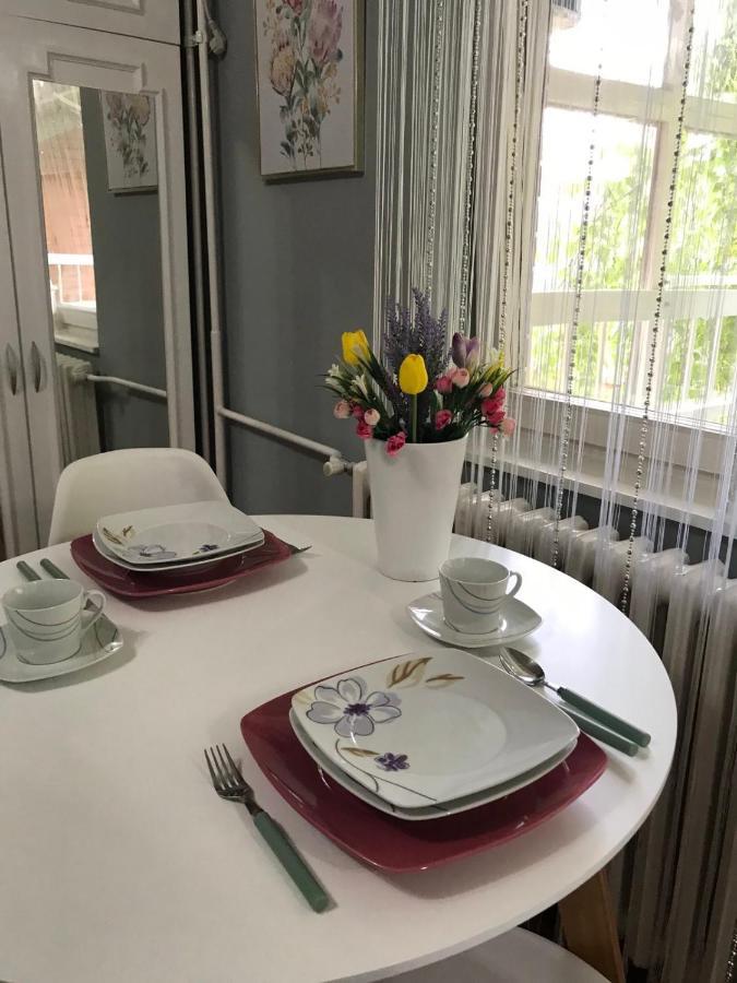 Apartman Studio Pavle I Petra Karlofça Dış mekan fotoğraf