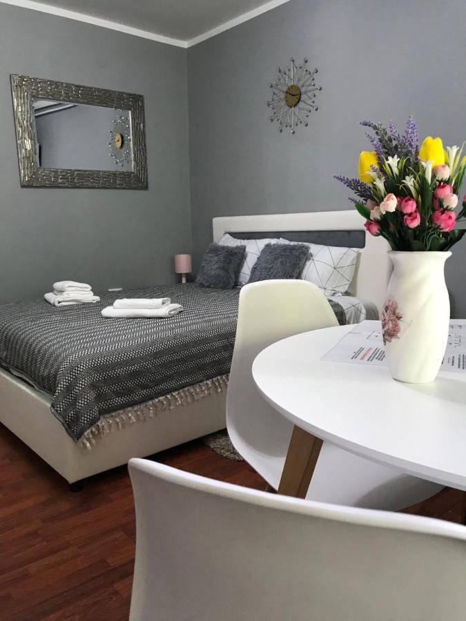 Apartman Studio Pavle I Petra Karlofça Dış mekan fotoğraf