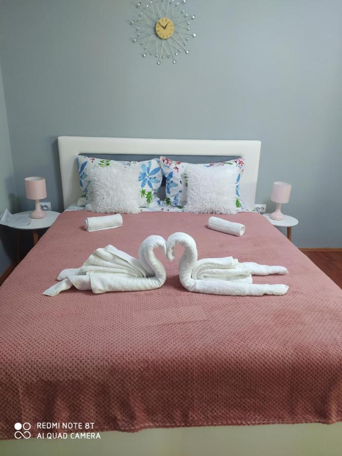 Apartman Studio Pavle I Petra Karlofça Dış mekan fotoğraf
