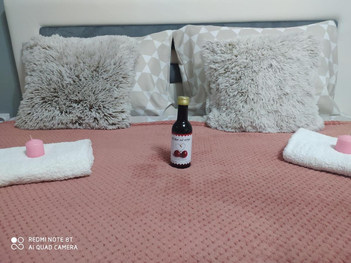 Apartman Studio Pavle I Petra Karlofça Dış mekan fotoğraf
